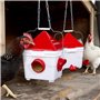 Todeco Mangeoire Poules et Abreuvoir Poules Ensemble, 6Kg Mangeoire Poule et 8L Abreuvoir Poule Automatique pour Volailles avec