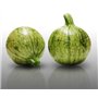 10 graines à semer - Le Grenier d'Abondance - COURGETTE Ronde de Nice - Curcubita Pepo