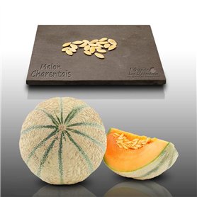 20 graines à semer - Le Grenier d'Abondance - MELON Charentais - Cucumis melo