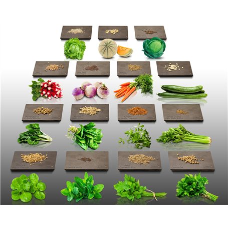 Lot de 3940 graines à semer - Le grenier d'Abondance - Potager semis de Juillet - 15 sachets individuels