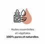 Huile Essentielle de Gaulthérie Couchée -100% Pure et Naturelle - HEBBD - Utilisation en Massage dans Huile Végétale - Parfum Tr