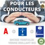 Kit Jeune Conducteur INDISPENSABLE Disque bleu de stationnement (Fabriqué en France) + A Jeune Conducteur Magnetique + Constat A