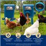 Kit Mangeoire et Abreuvoir Poules 8KG/7L – Anti-Nuisibles Valve Automatique Anti-Cyanobactéries, Ideal Microfermes et Élevages A