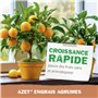 Neudorff Azet Engrais Agrumes – Engrais liquide 100% vegan qui favorise la floraison, la nouaison et la taille des fruits des ci