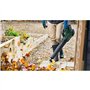 Bosch Home and Garden Souffleur de Feuilles AdvancedLeafBlower 36V-750 (Batterie 2,0 Ah, système 36 Volts, pour éliminer Les Feu