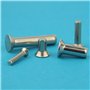 Eisenwaren2000 5 x 16 mm (50 pièces) - Rivets pleins avec tête fraisée ISO 1051 - DIN 661 - Acier inoxydable A2 V2A