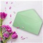 Lot de 50 enveloppes à lettres vert menthe - DIN long - 110 x 220 mm (11 x 22 cm) - Fermeture humide sans fenêtre - Idéal pour l