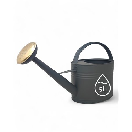LIVLIG Arrosoir en zinc 5 litres - Arrosoir de jardin en métal - Pour intérieur et extérieur - Vintage - Bec amovible - Couleur