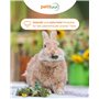 petifool Wilde Blumenwiese - Complément Alimentaire - Aliment Naturel et sain pour Lapins - 600 g