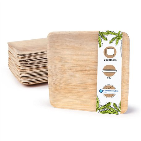BIOZOYG Palmware DTW05359 Assiette jetable en Feuille de Palmier