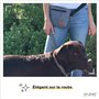 PiuPet® Sac à friandises pour Chien I 3 Compartiments I Fermeture magnétique I Sac Chien idéal pour Le entraînement des Chien I