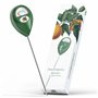 Meine Orangerie Humidimètre pour plantes - Humidimètre du sol pour plantes en pot et d'intérieur - Il suffit de lire l'humidité