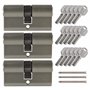 Lot de 3 cylindres profilés 70 mm 35/35 à fermeture identique avec 15 clés réversibles Gris métallisé