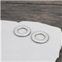 Briny River 200pcs Rondelles Plates en Acier Inoxydable M8 8x12x0,2 Mm pour Télécommandes Voitures Motos Meubles