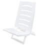Chaise Pliante Aktive 38 x 65 x 36 cm (4 Unités)