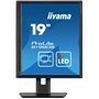iiyama B1980S-B1 19'' conçu pour Les Entreprises est Un Impressionnant Moniteur rétroéclairé par LED avec Un Support réglable en