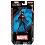 Marvel Hasbro Legends Series, Figurine articulée de Collection Future Ant-Man de 15 cm des Bandes dessinées