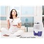 Senelux Mini déshumidificateur d'air portable puissant de 500 ml - Petit déshumidificateur efficace et stable - Absorbeur d'humi