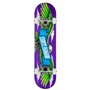Tony Hawk SS 180 Complete Wingspan Planche pour Adulte