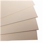 100 feuilles de papier cartonné couleur ivoire 210 g/m² A4 pour imprimante photocopieur