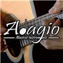 Adagio Pro Lot de 2 jeux de cordes légères pour guitare acoustique Calibre 11-50 Bronze phosphoreux Convient également comme cor