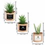 BELLE VOUS 3 Pièces Mini Plante Artificielle Interieur en Plastique avec Pot en Métal Cuivré - 10 x 7,5 cm - Fausse Plante Cactu