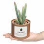 BELLE VOUS 3 Pièces Mini Plante Artificielle Interieur en Plastique avec Pot en Métal Cuivré - 10 x 7,5 cm - Fausse Plante Cactu