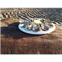 Lot de 2 - Assiette à Huîtres en Plastique – 12 Places