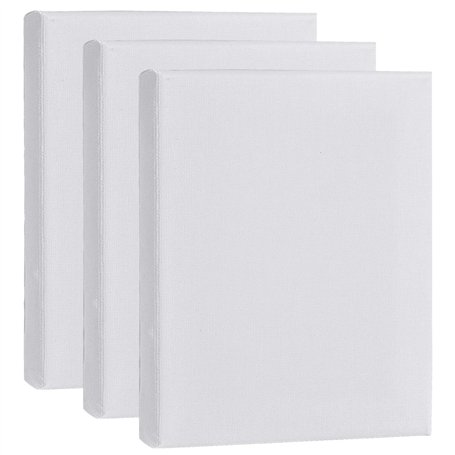 AvoDovA 15 * 20CM Blanche Toiles à Peindre Encadrées