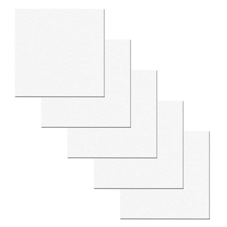 AvoDovA 5PCS Blanche Toiles à Peindre Encadrées