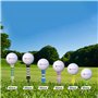 Putt Pursuit Lot de 30 Tees de Golf Castle en Bambou 45 mm - Matériau Durable, biodégradable et Durable - Hauteur de Balle const