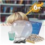 Science4you Creatures Jurassiques pour Enfants 6+ Ans - Élevez des Dragons d'eau avec ce Kit Artemias et Aquarium Jouet pour Enf
