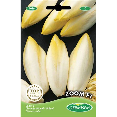 Germisem graines Chicorée Witloof Zoom F1 EC9016