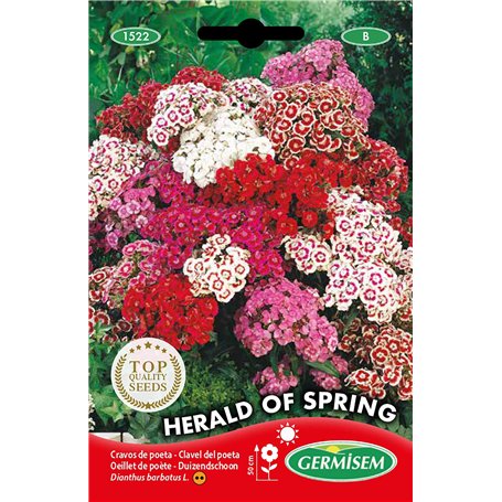 Germisem Graines Oeillet de poète HERALD OF SPRING