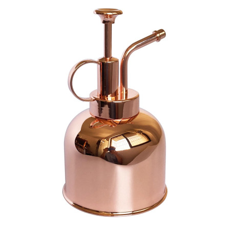 LianShi Flacon pulvérisateur en acier inoxydable pour plantes-Petit arrosoir-Outils de jardinage modernes pour plantes en pot d'