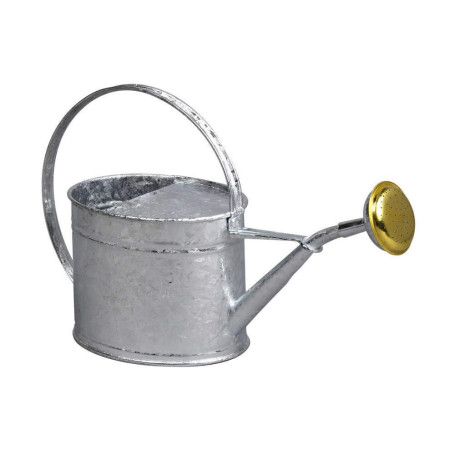 GUILLOUARD 80320 Arrosoir, Gris, Neutre