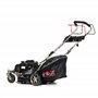 NAX POWER PRODUCTS 1000S moteur Briggs & Stratton série 450E 125 cm3 largeur de coupe 42 cm panier 45l système de lavage du boît
