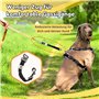 Hundefreund Amortisseur de Choc pour Chien | L'extension de 30cm pour Toutes Les laisses de Chiens avec Sangle élastique