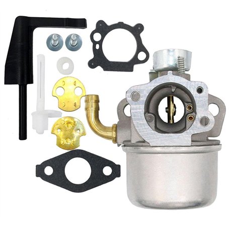 Carburateur pour motoculteur Briggs & Stratton Craftsman Intek 190 6 HP 206 5