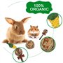 Xinzistar 17 Pcs Jouet pour Lapin, Accessoire Lapin, pour Jouets à Mâcher de Cochon d'Inde Hamster Chinchilla Gerbille