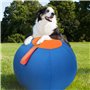 Zeiwohndc Balle gonflable interactive pour chiens - Jouet d'extérieur - Balle de troupeau molaire - Jouet d'entraînement physiqu