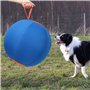 Zeiwohndc Balle gonflable interactive pour chiens - Jouet d'extérieur - Balle de troupeau molaire - Jouet d'entraînement physiqu