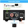 Nobsound 100W Subwoofer Amplificateur de puissance mono Amplificateur de puissance numérique Mini Audio Amp (Sans alimentation)