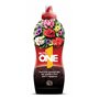 NUTRI 1 ONE Engrais Liquide pour Plantes saines et Fleurs luxuriantes