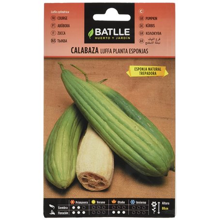 Semillas Batlle COURGE Eponge
