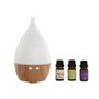 Diffuseur d'Huiles Essentielles Home ESPRIT Urbaine 10 ml (4 Pièces)