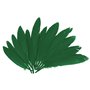 INNSPIRO Plumes indiennes vertes env. 25 mm x 140 mm. 60 u.