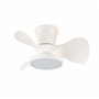 Ventilateur de Plafond CristalRecord MOLL RETRAC Transparent 20 W
