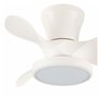Ventilateur de Plafond CristalRecord MOLL RETRAC Transparent 20 W