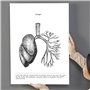Nacnic Ensemble de 3 affiches d'anatomie en noir et blanc avec des images du corps humain. Pack de fiches sur la biologie avec C